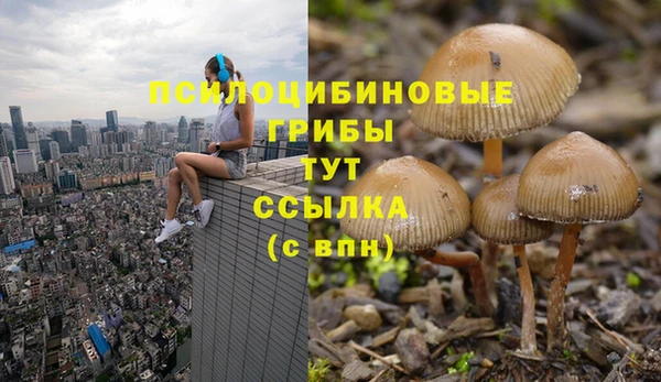таблы Аркадак