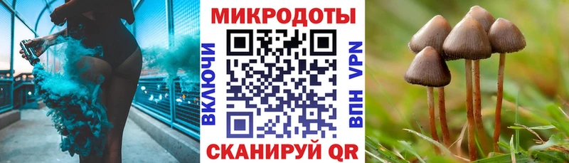 blacksprut   Николаевск-на-Амуре  Псилоцибиновые грибы Psilocybine cubensis 